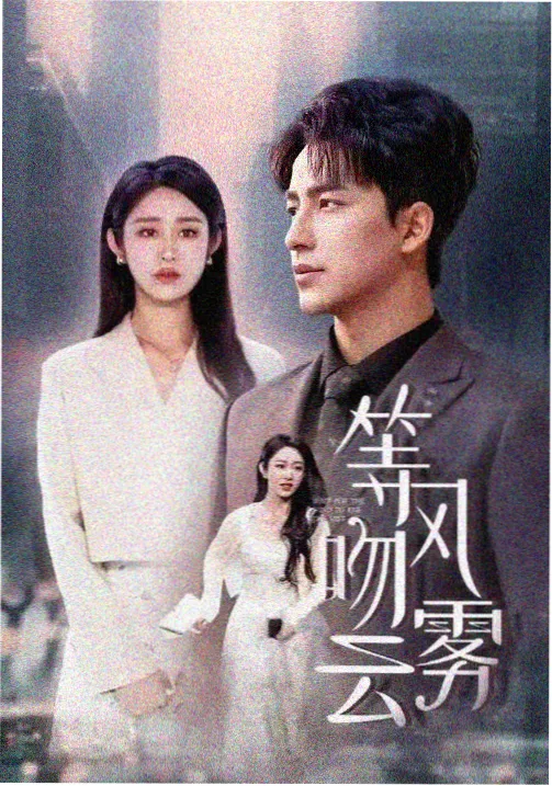 视觉影院热播剧集雾港追凶高清剧照